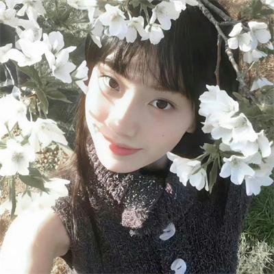 止战之殇